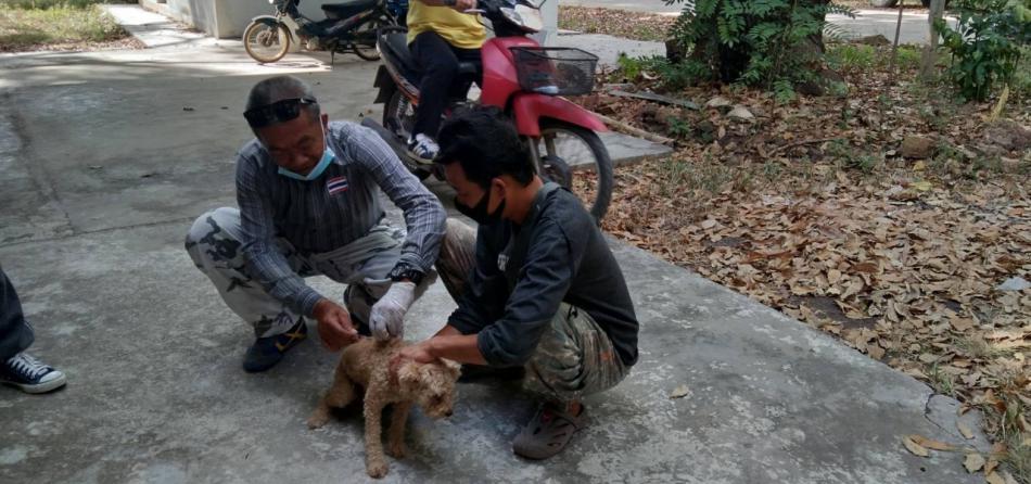 โครงการสัตว์ปลอดโรคคนปลอดภัยจากโรคพิษสุนัขบ้า การฉีดวัคซีนป้องกันและควบคุมโรคพิษสุนัขบ้า ประจำปี 2563 วันที่ 26 มีนาคม 2563 ณ ศาลาหมู่บ้านหมู่ที่ 5 (5 ภาพ)